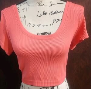 OFFLINE AERIE Seamless Ribbed Baby T XL Coral Crop Top T Shirt Fitted Cropped